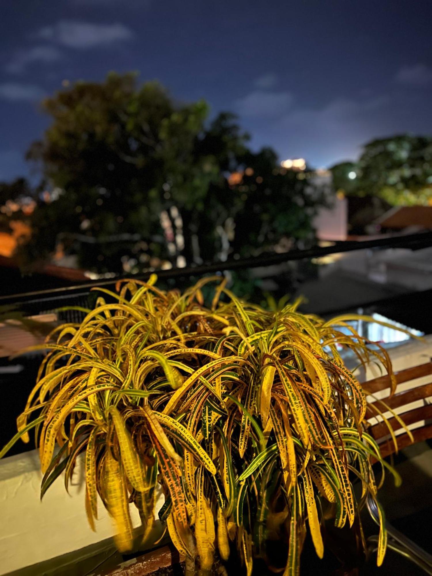 La Viduka Hostel Cartagena 外观 照片